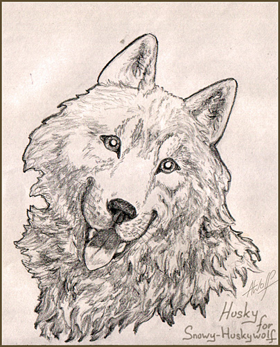 Huskywolf